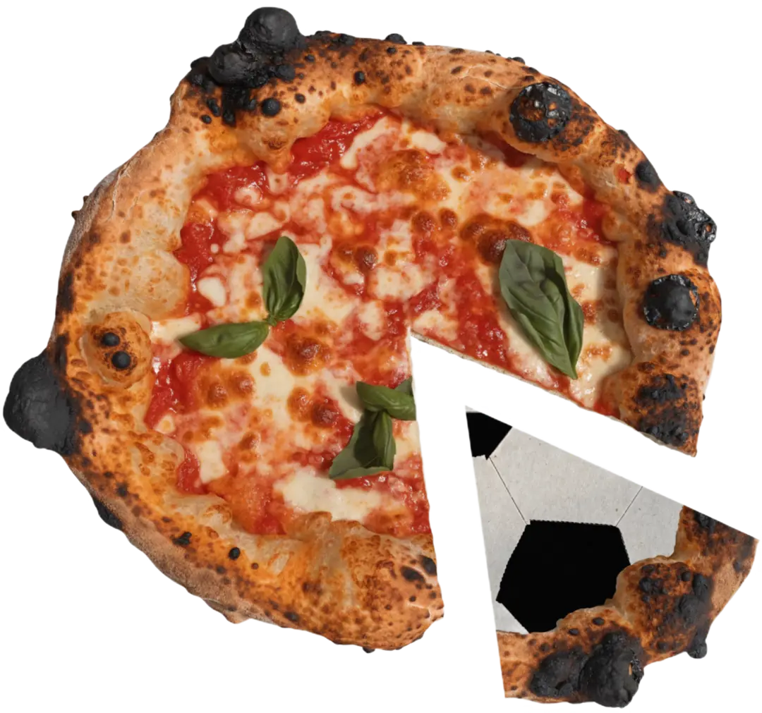 L'emblema di Matusa: una margherita a cui manca uno spicchio, e lo spicchio è un pallone da calcio